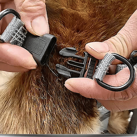 harnais anti traction