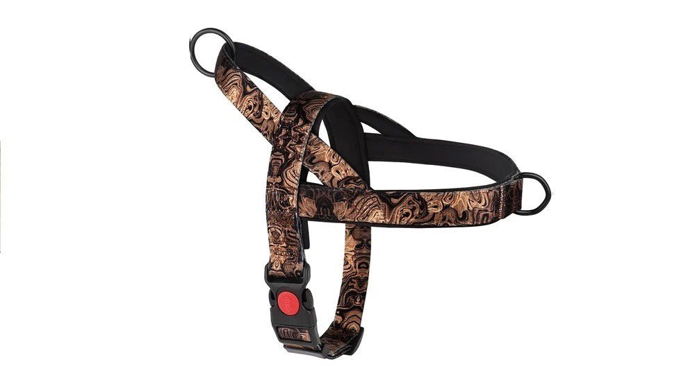 Chien harnais - NylonSFP - Mon chien confortable