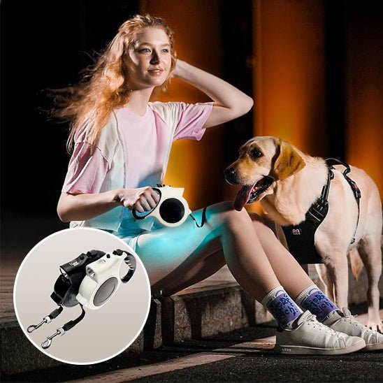 chien laisse - Mon chien confortable