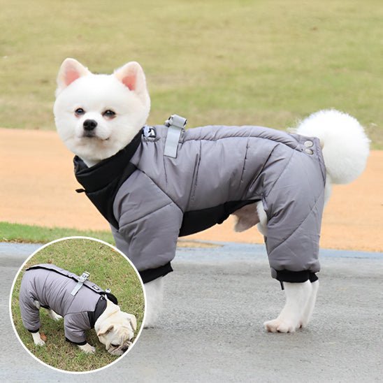 chien manteau - Mon chien confortable
