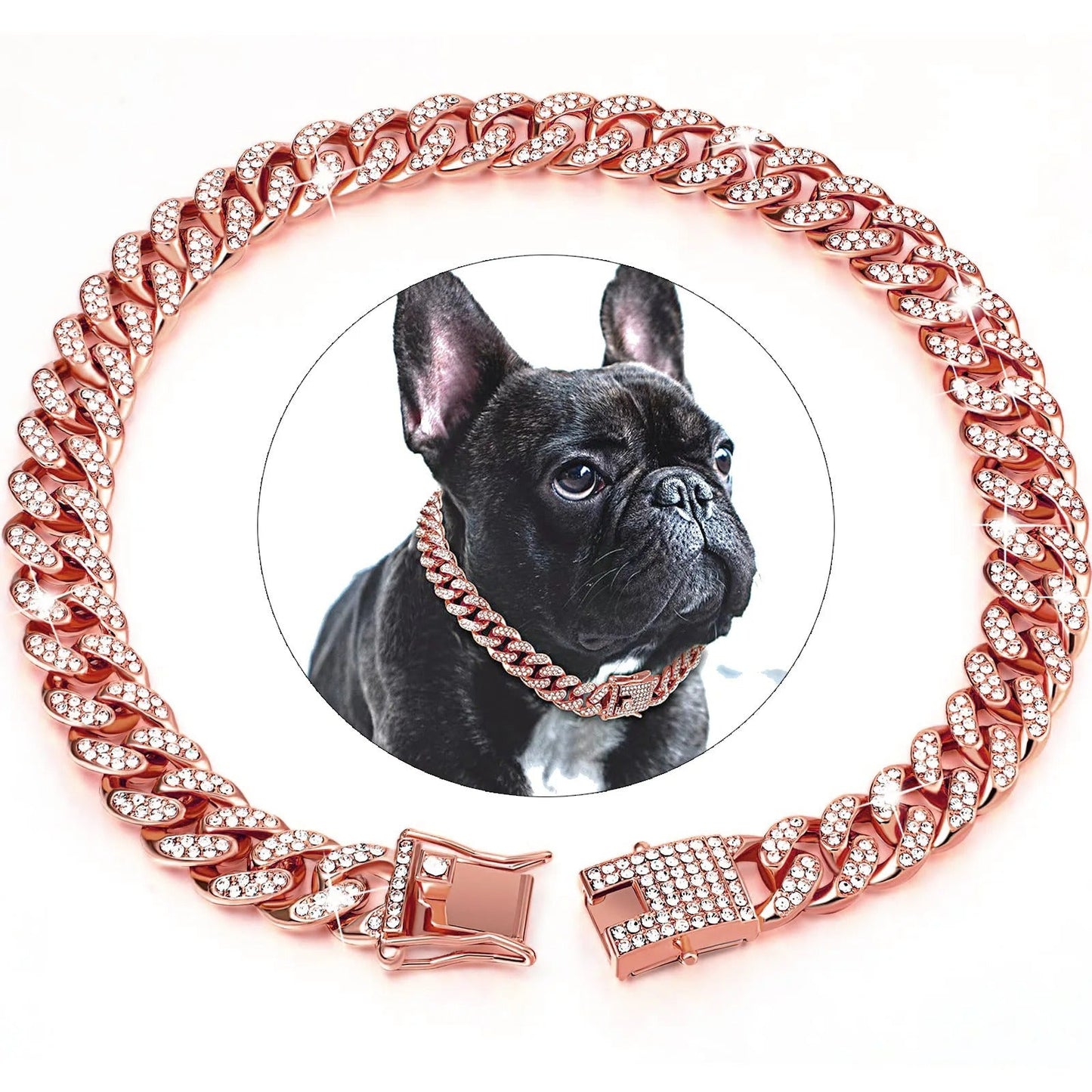 collier chaine chien - Mon chien confortable
