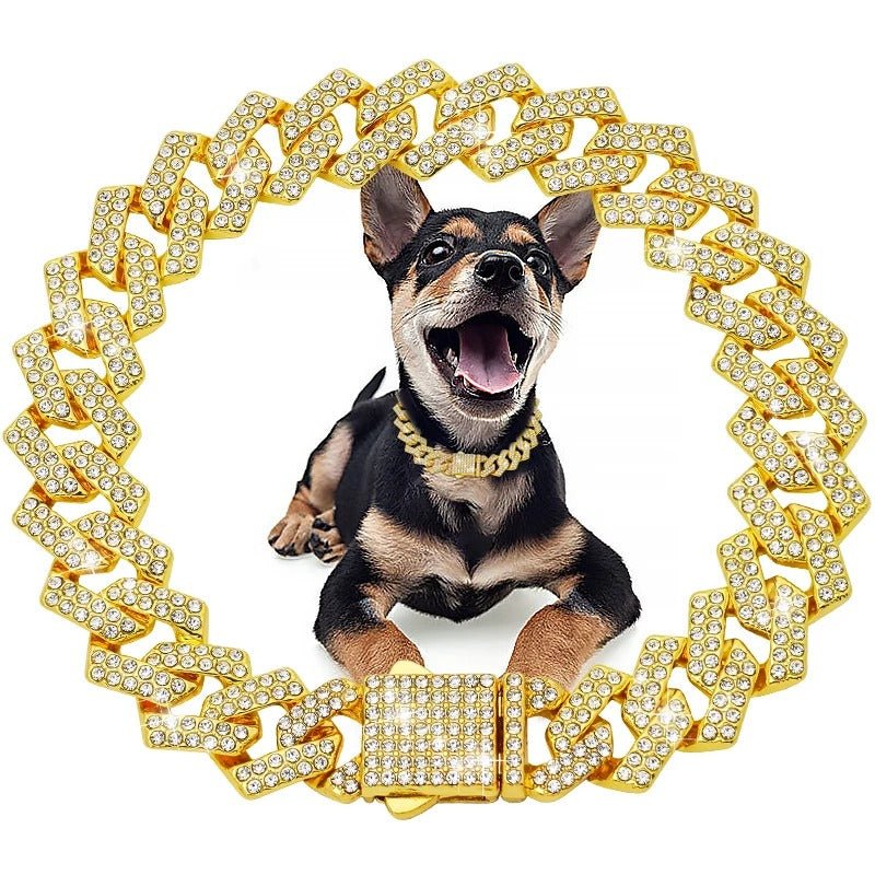 collier chaine chien - Mon chien confortable