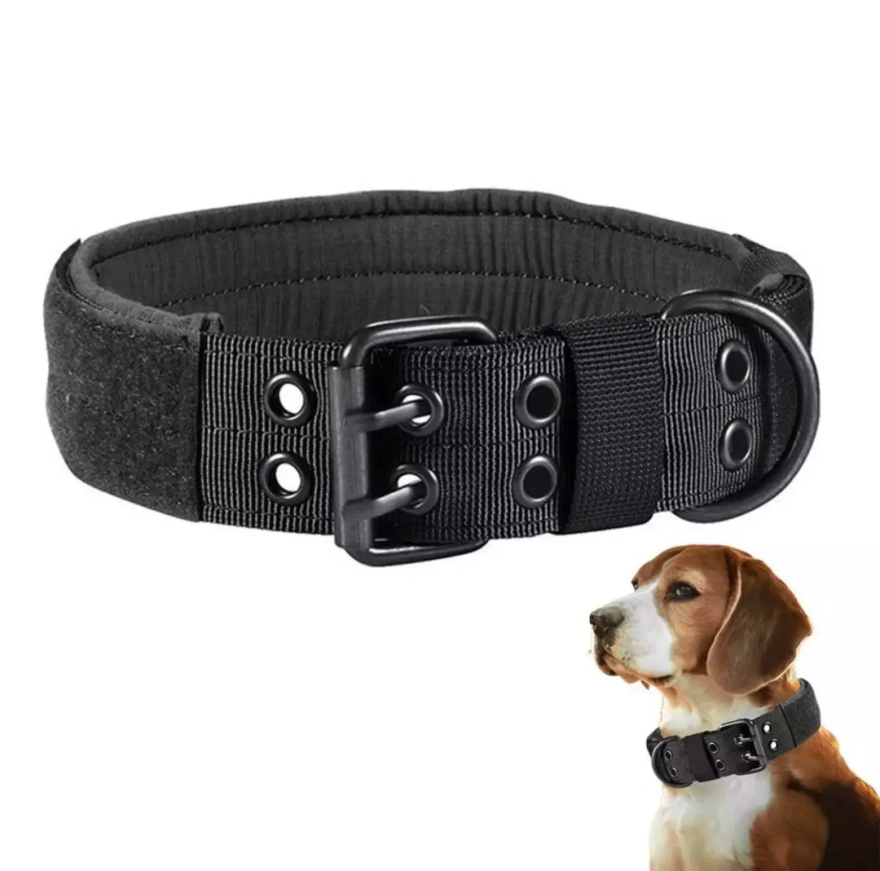 collier chien - ML - Mon chien confortable