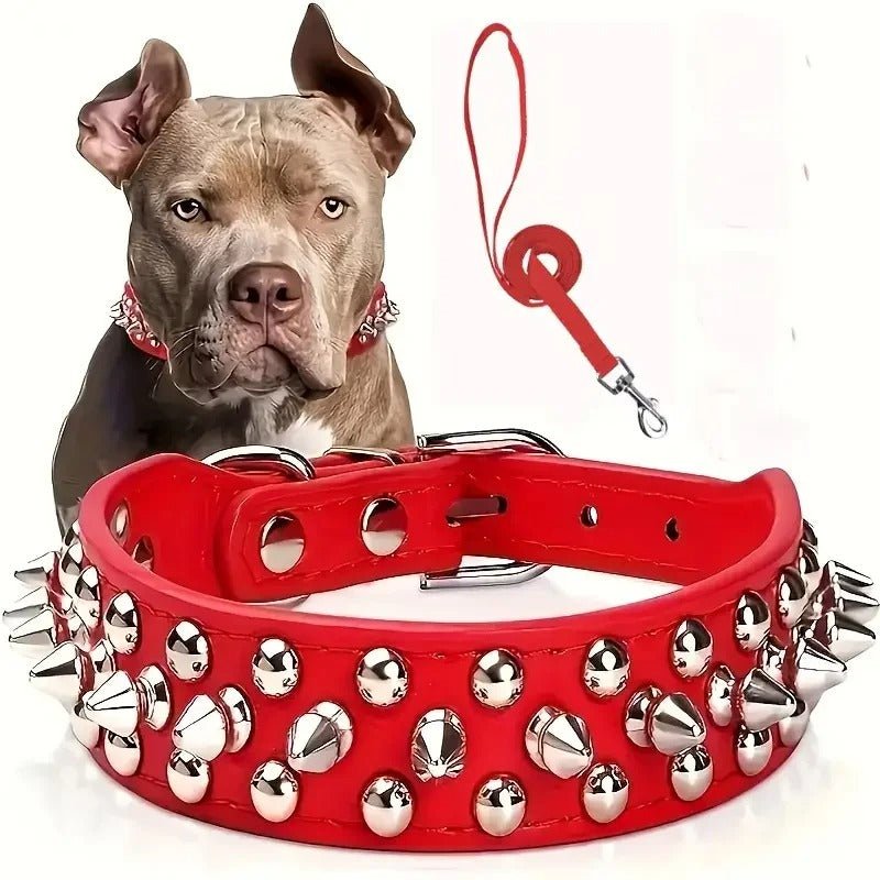 collier en cuir pour chien - Mon chien confortable