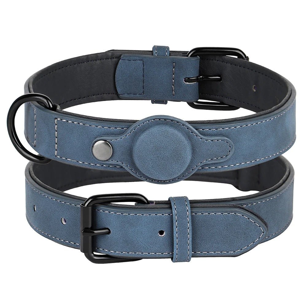 collier gps pour chien - Mon chien confortable