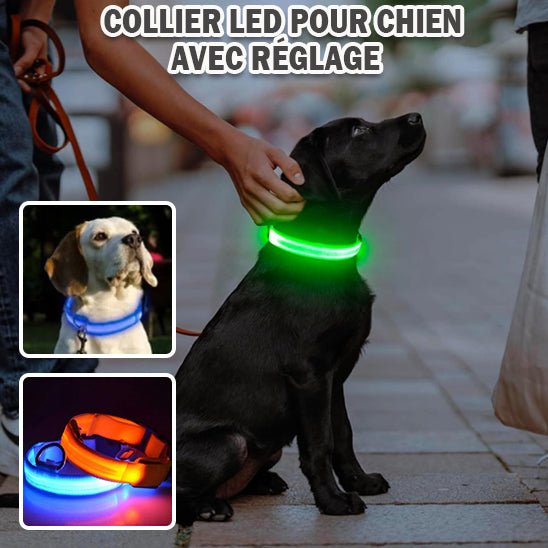 collier lumineux chien - Mon chien confortable