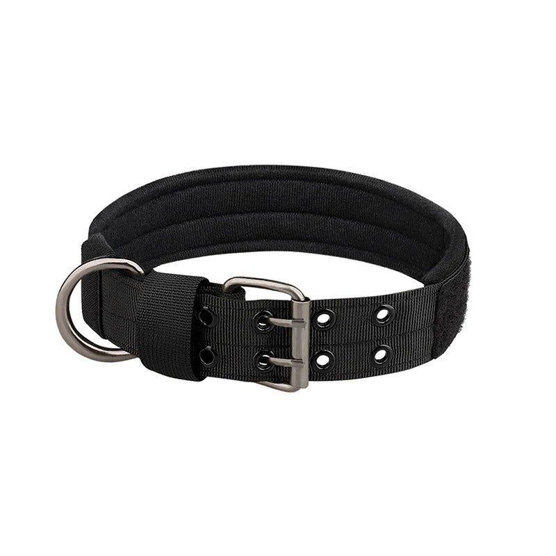 collier pour chien - Mon chien confortable