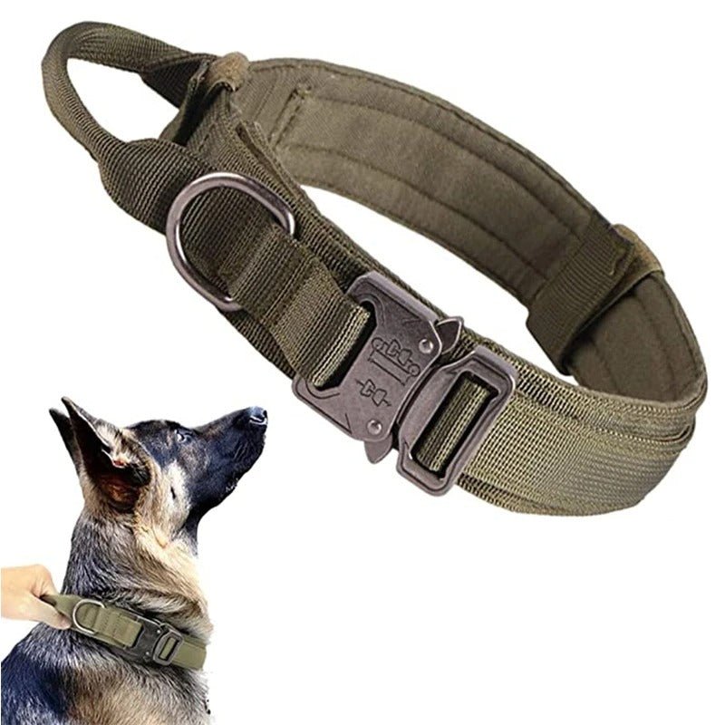 collier pour chien personnalisable - Mon chien confortable