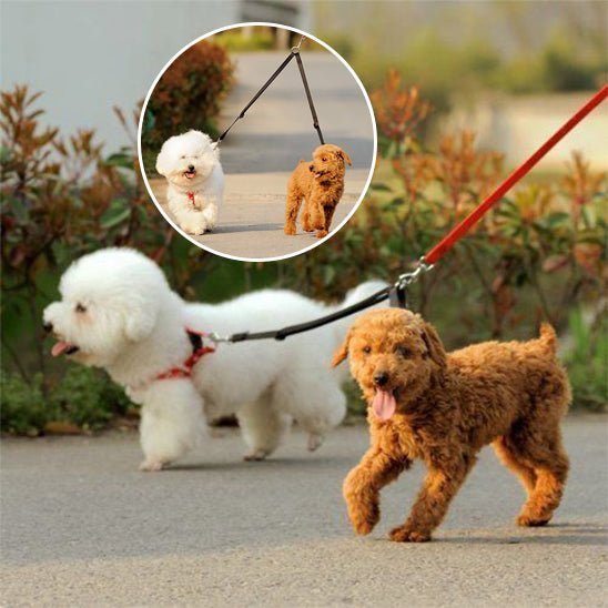 double laisse chien - Mon chien confortable
