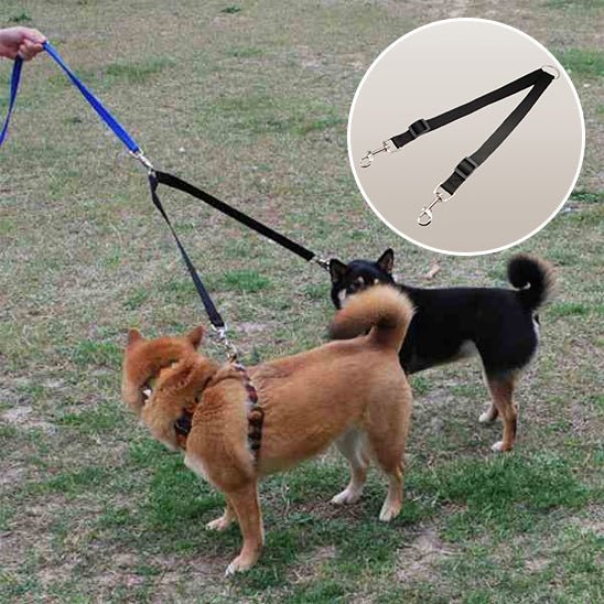 double laisse chien - Mon chien confortable