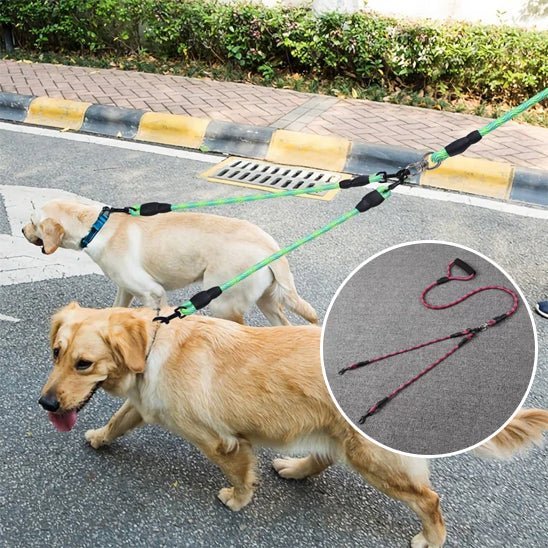 double laisse pour chien - Mon chien confortable