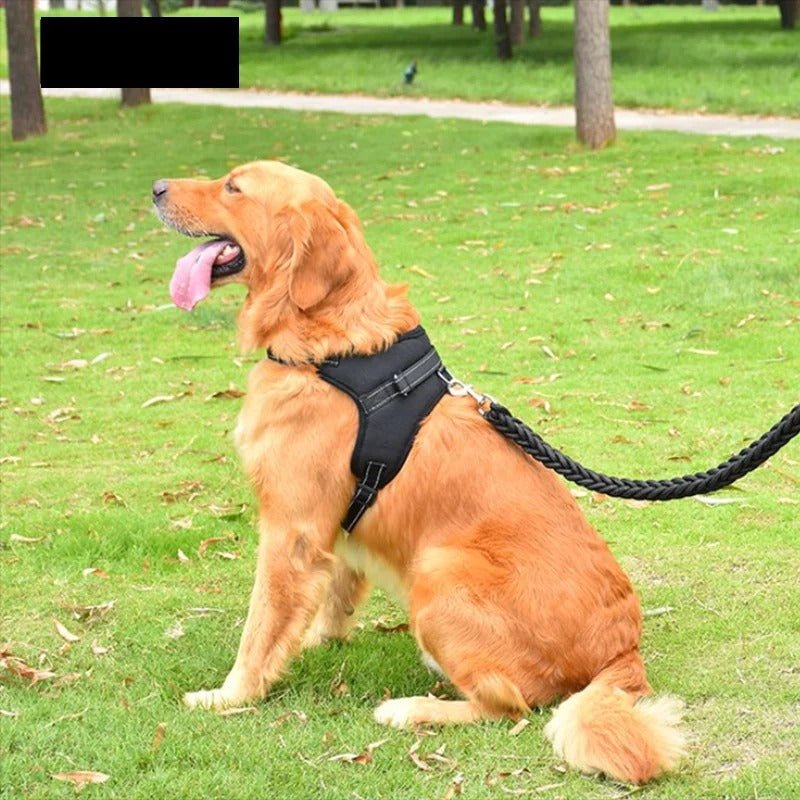 harnais chien - Mon chien confortable