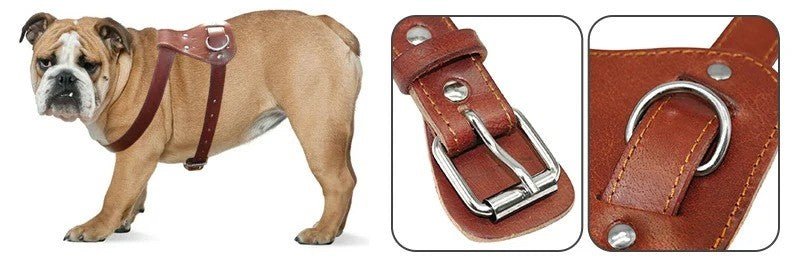 harnais chien - HarNISSAN - Mon chien confortable