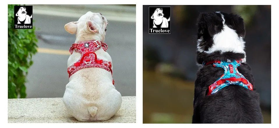 harnais chien - TRUELOVE - Mon chien confortable