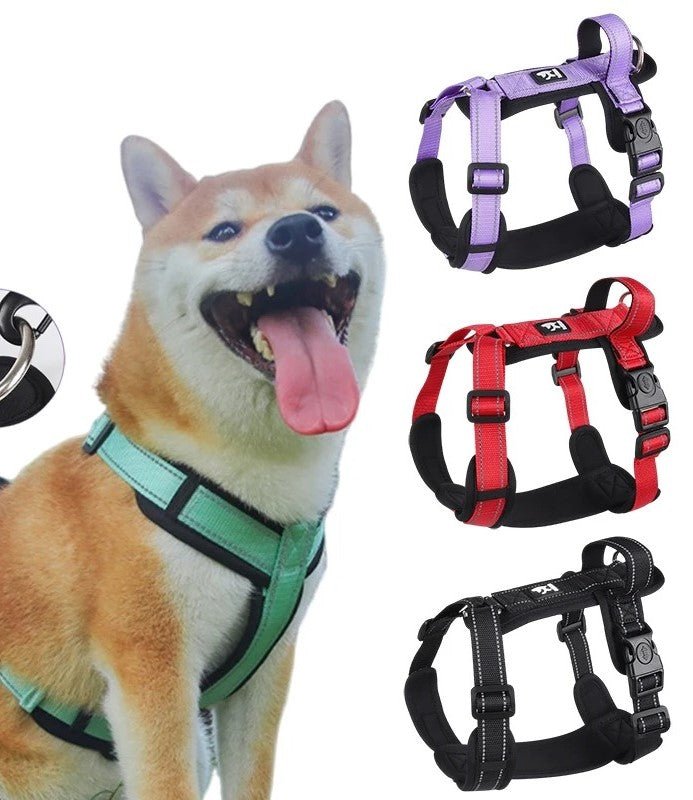 Harnais pour chien - SFP - Mon chien confortable