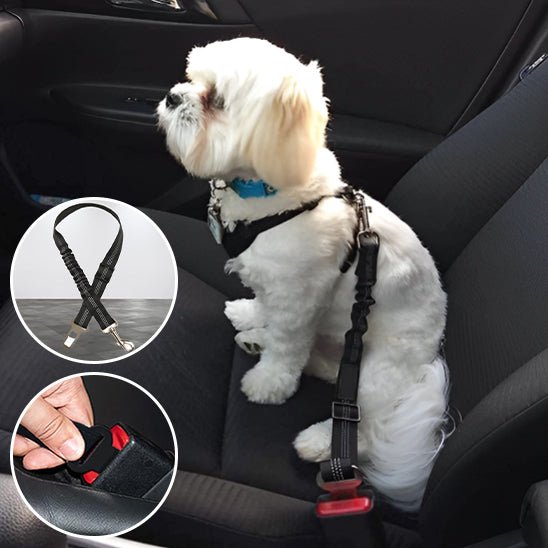 laisse chien - ceinture de sécurité - Mon chien confortable
