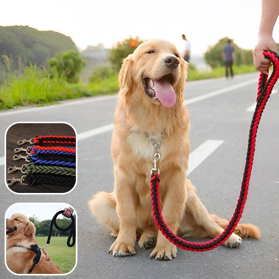laisse corde chien - Mon chien confortable