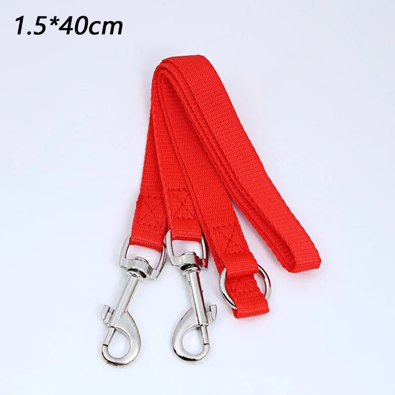 laisse double pour chien - Mon chien confortable