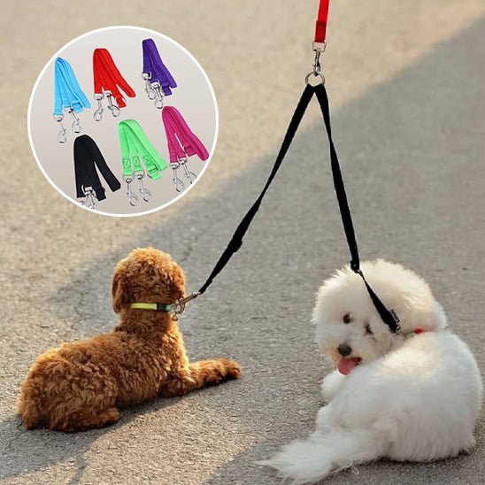 laisse double pour chien - Mon chien confortable