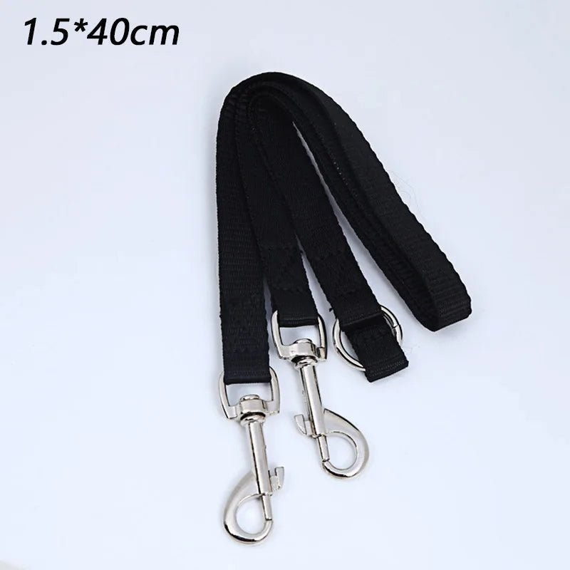 laisse double pour chien - Mon chien confortable