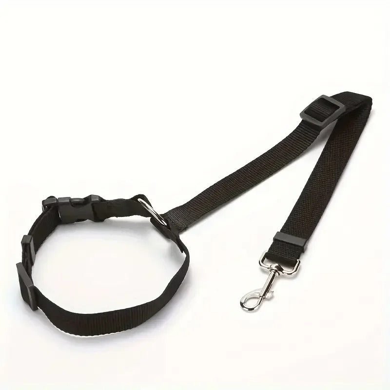 laisse pour chien - Mon chien confortable
