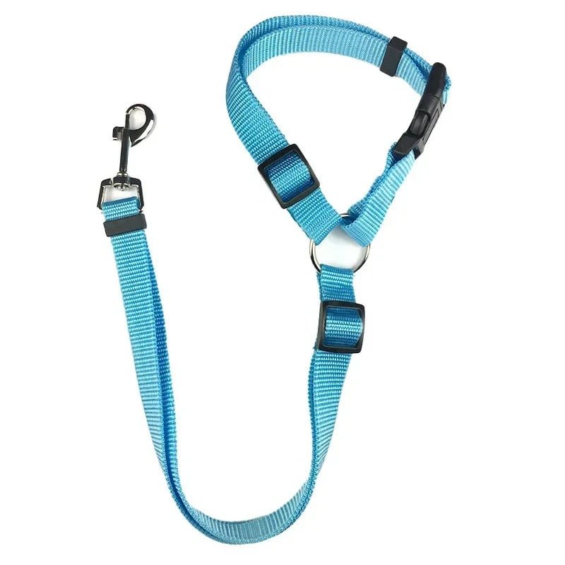 laisse pour chien - Mon chien confortable