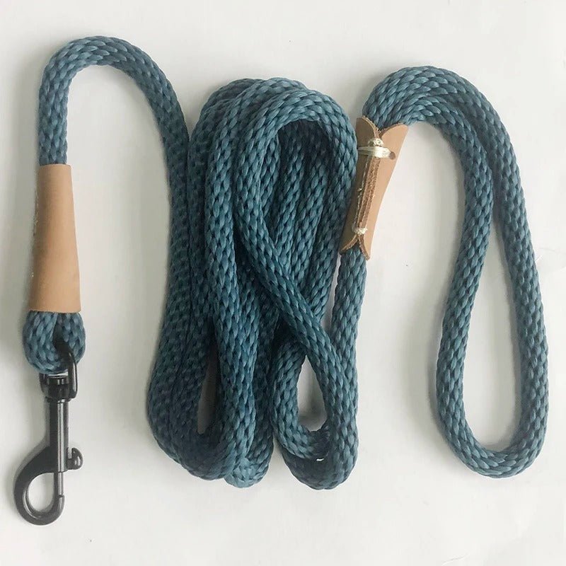 laisse pour chien bleue, noir, verte - Mon chien confortable