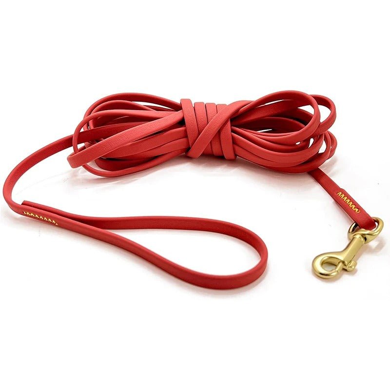 laisse pour chien en PVC - Mon chien confortable