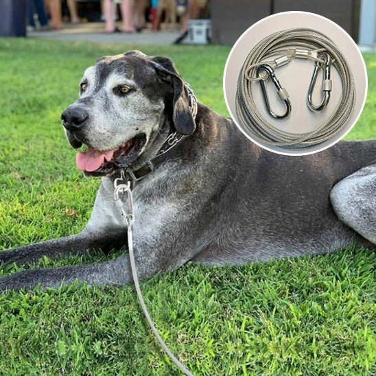 laisse pour chien gris clair - Mon chien confortable
