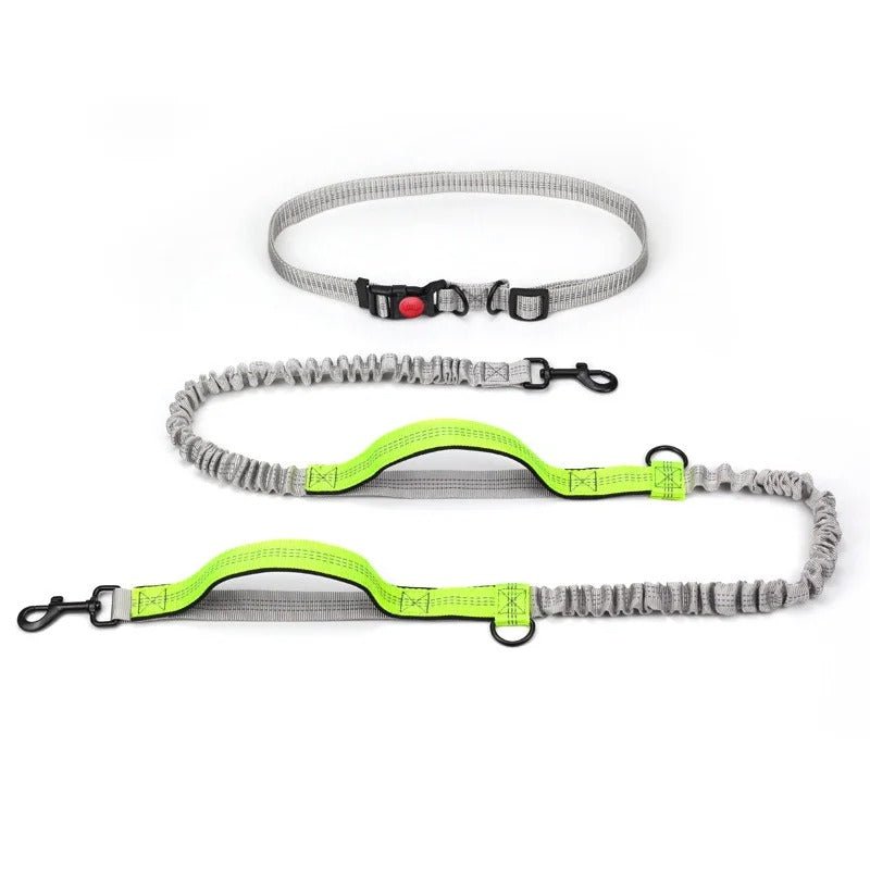 laisse pour chien main libre - Mon chien confortable