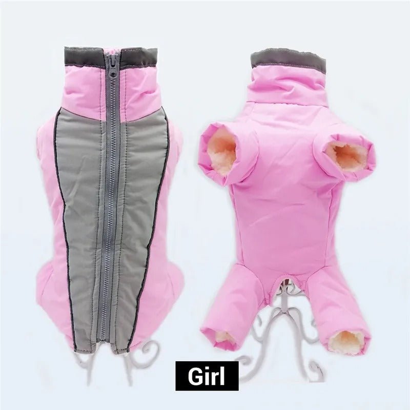 manteau chien - Salopette - Mon chien confortable