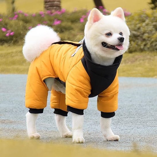 manteau chien - Salopette - Mon chien confortable