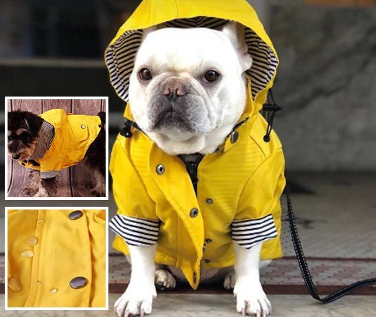 manteau pour chien - Mon chien confortable