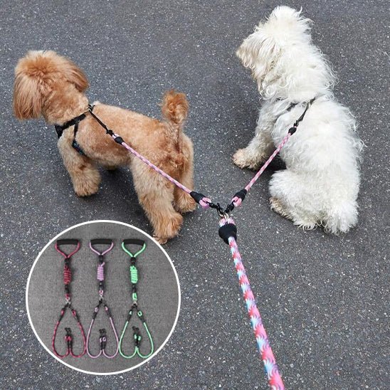 une laisse de chien - Mon chien confortable