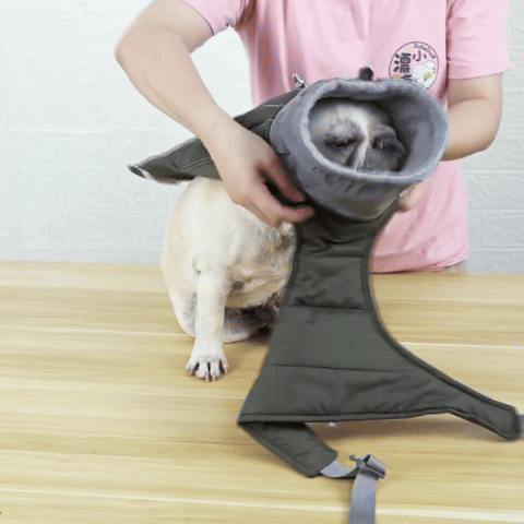 Gilet de sauvetage pour chien-Hiver