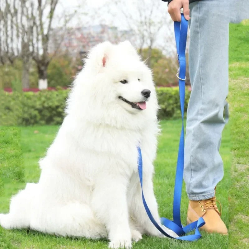 Double laisse pour chien