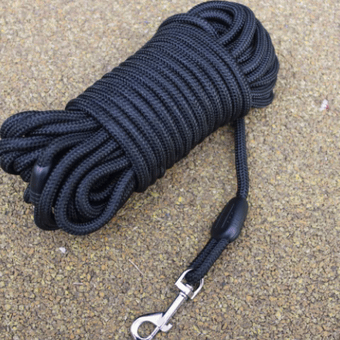 Laisse pour chien-PVC-Entraînement