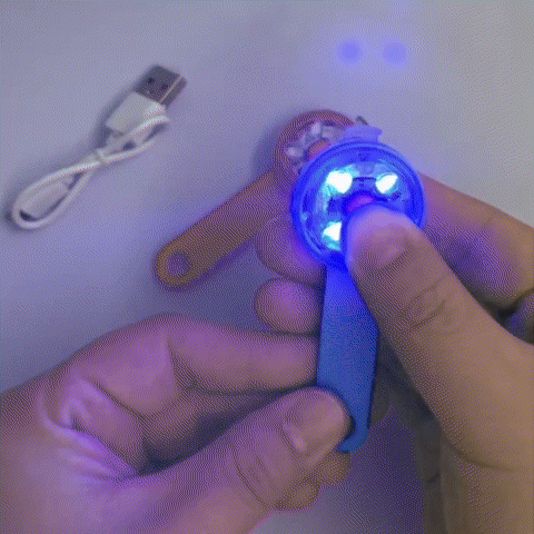Colliers lumineux pour chien-Brillant