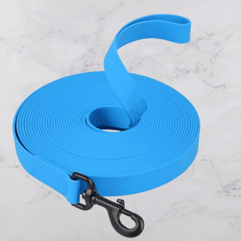 laisse chien-PVC