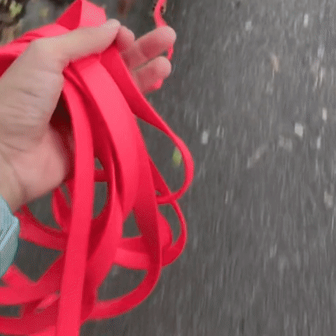 laisse pour chien-PVC