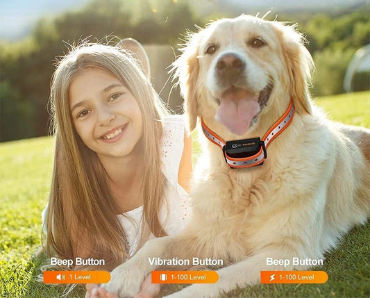 chien collier de dressage - Mon chien confortable