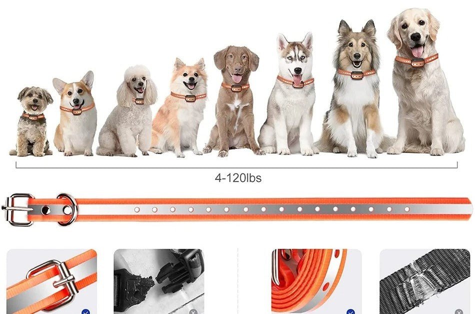 chien collier de dressage - Mon chien confortable