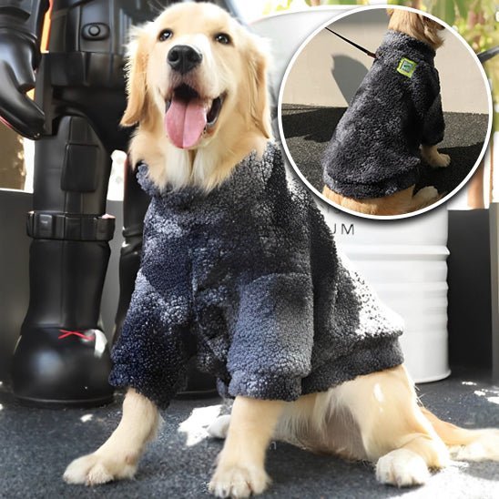 chien gilet de sauvetage - Mon chien confortable