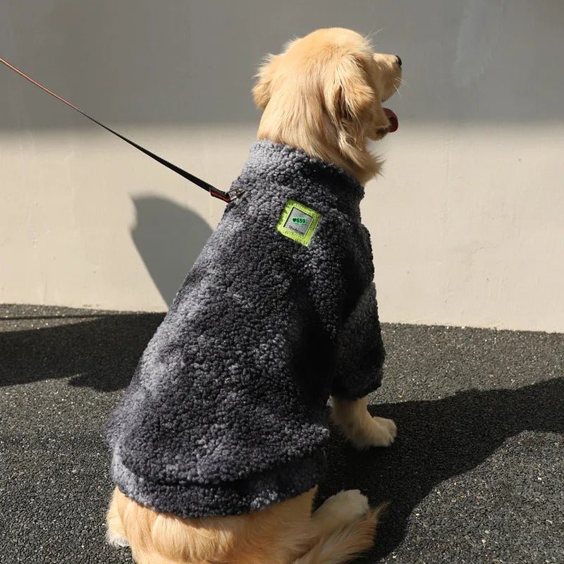 chien gilet de sauvetage - Mon chien confortable