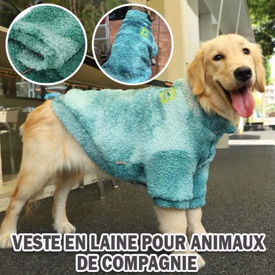 chien gilet de sauvetage - Mon chien confortable