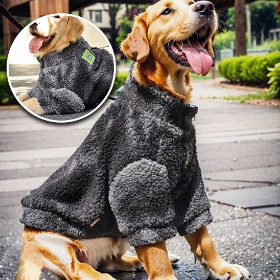 chien gilet de sauvetage - Mon chien confortable