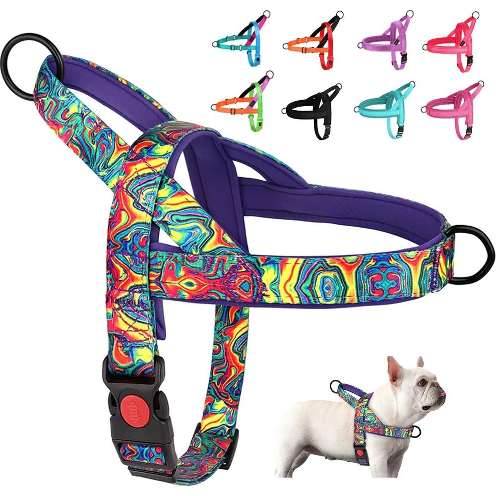 Chien harnais - NylonSFP - Mon chien confortable