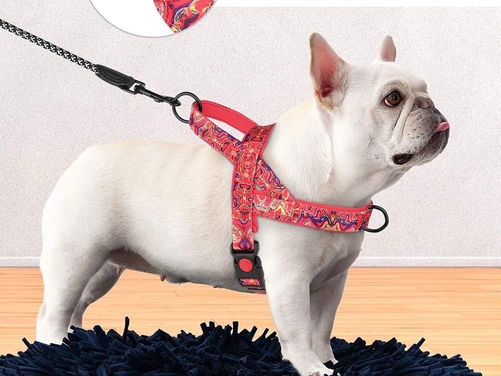 Chien harnais - NylonSFP - Mon chien confortable