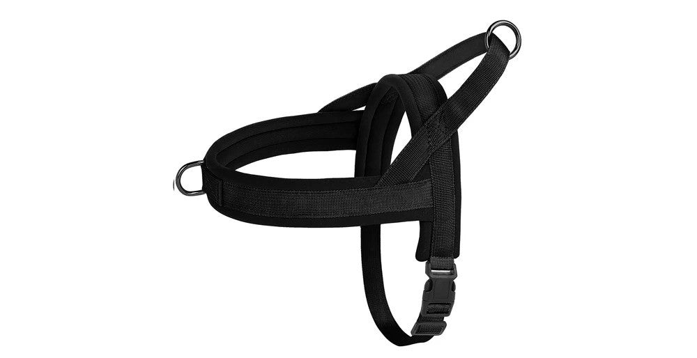 Chien harnais - NylonSFP - Mon chien confortable
