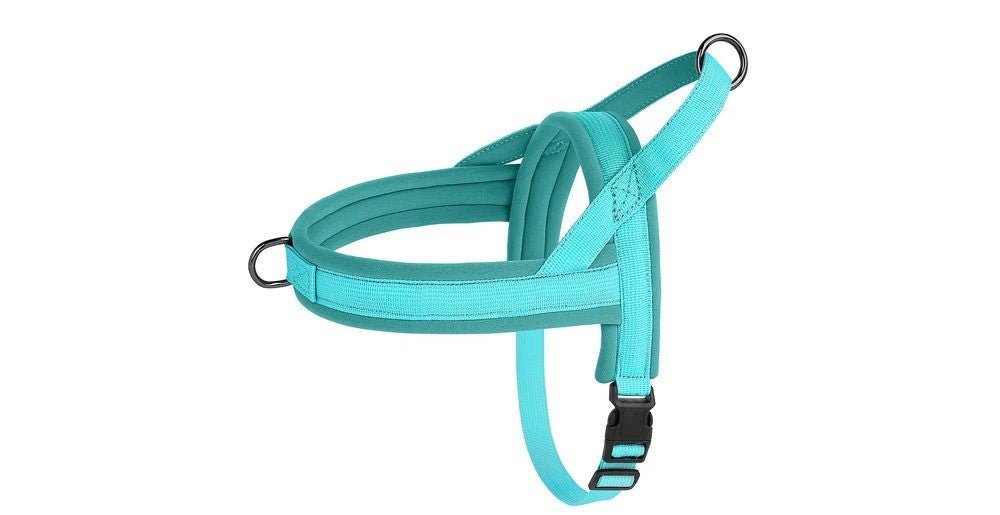 Chien harnais - NylonSFP - Mon chien confortable